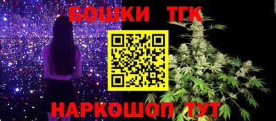 амф Можга