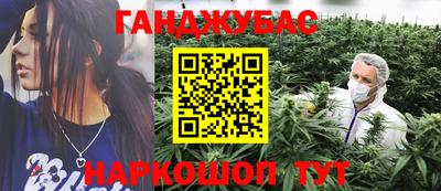 амф Можга