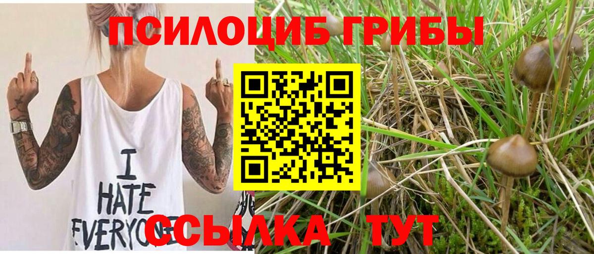 Ржев  цены наркотик  Вход с VPN  Псилоцибиновые грибы мухоморы 