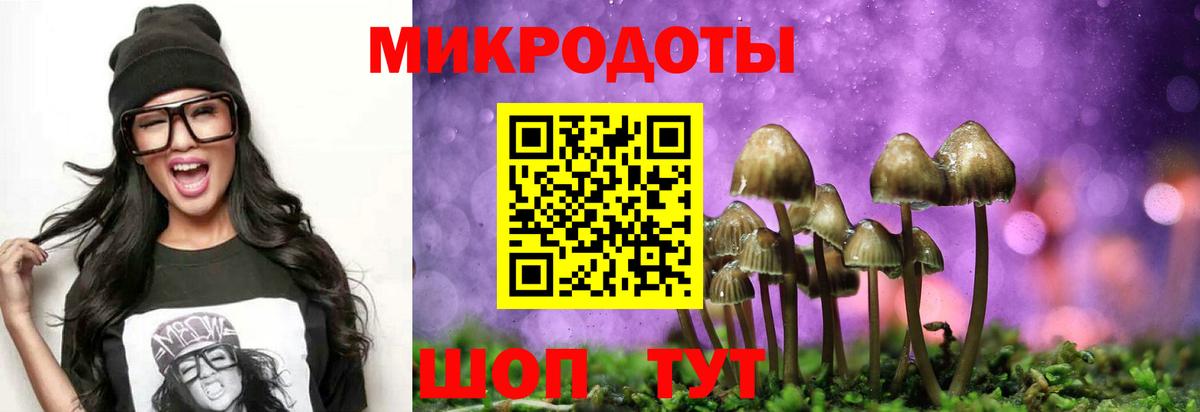 Галлюциногенные грибы MAGIC MUSHROOMS Ржев